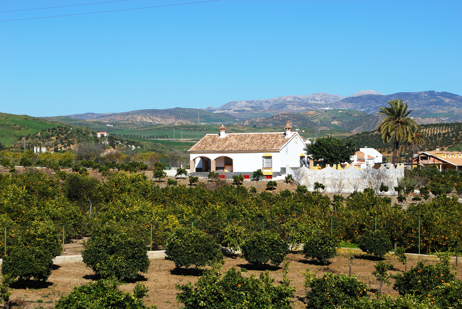 Pizarra property and living Orange grove and farm, Andalusia, Spain.